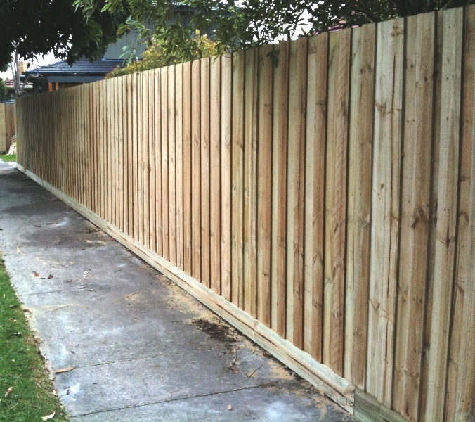 Standard Paling Fence before painting